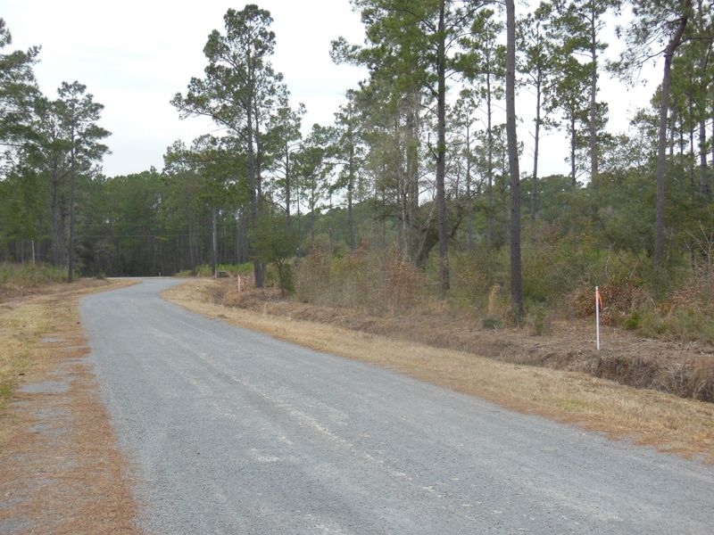 1 Broadmarsh Ct, Mcclellanville, SC 29458