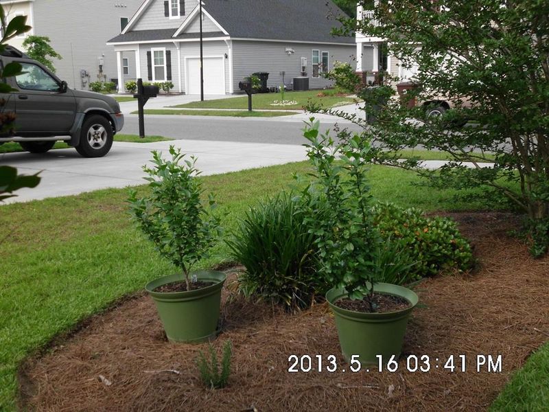 305 Killarney Trl, Moncks Corner, SC 29461