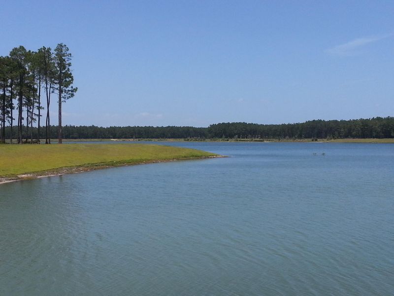 307 Calm Water Way, Summerville, SC 29486