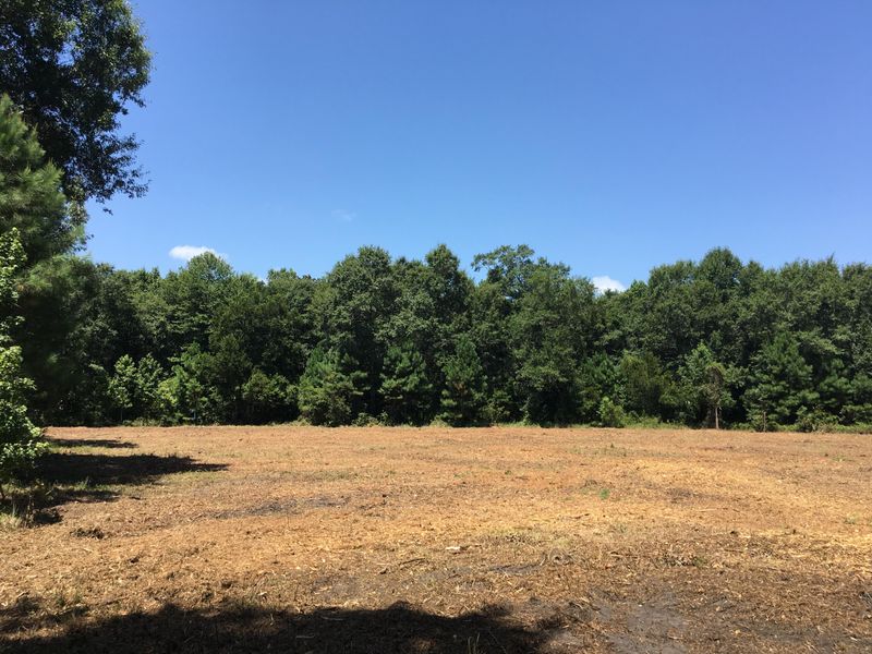 Lot 39 Thunder Gulch Trl, Mount Pleasant, SC 29429
