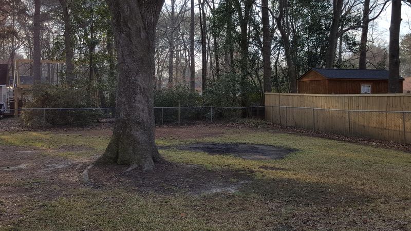 101 Wampee, Summerville, SC 29485
