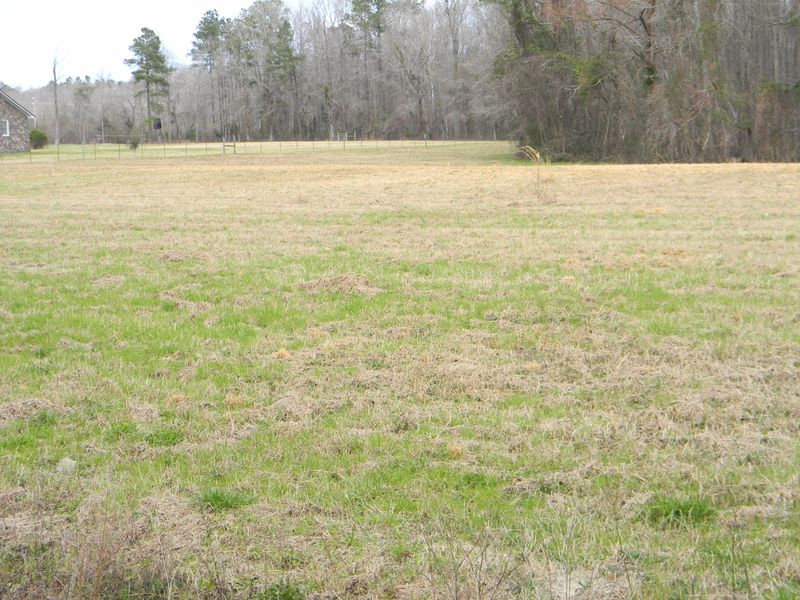 600 Calestown Rd, Bonneau, SC 29431