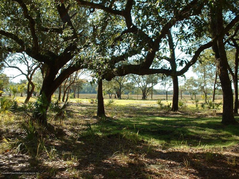 4390 Park Island Rd, Meggett, SC 29449