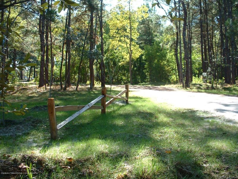 4390 Park Island Rd, Meggett, SC 29449