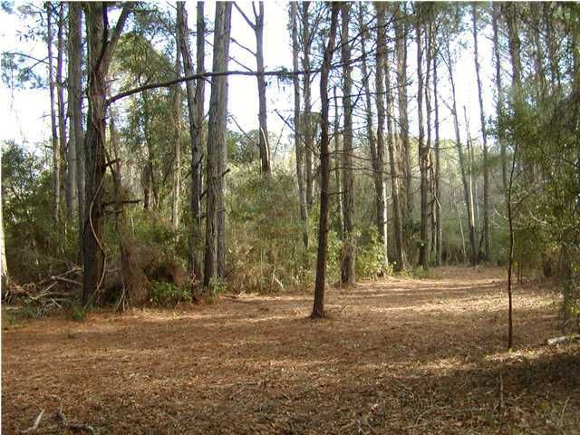 8452 Middleton Point Ln, Edisto Island, SC 29438