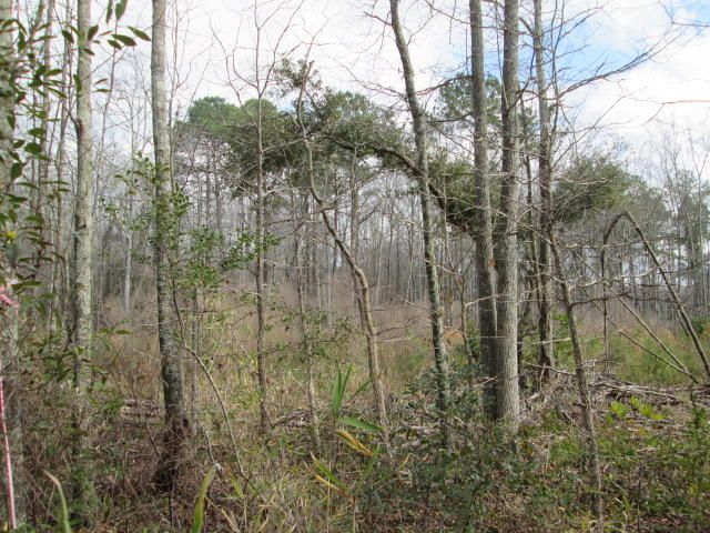 00 Fickling Hill Rd, Johns Island, SC 29455
