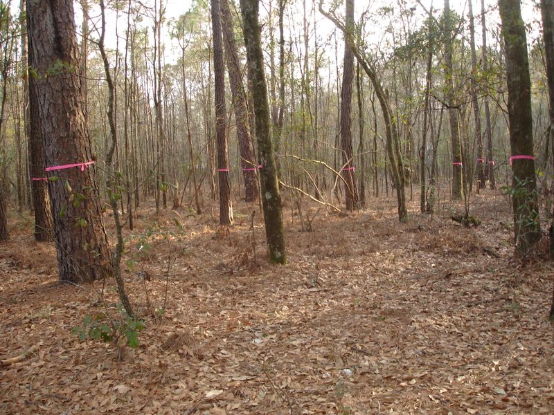 1 Chaplins Landing Rd, Hollywood, SC 29449
