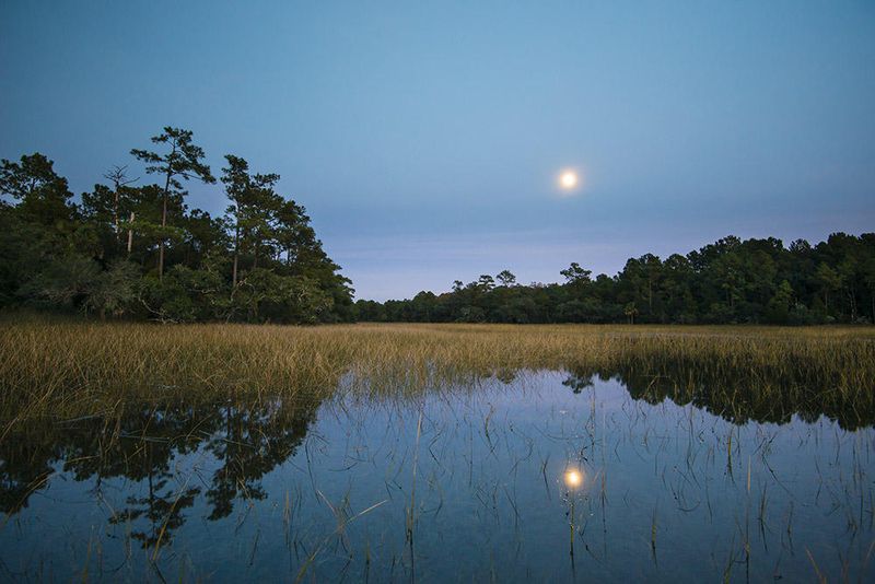 450 Fish Tale Rd, Charleston, SC 29492
