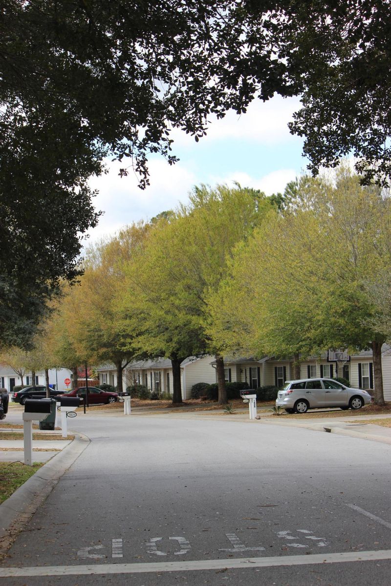 1433 Amanda Park Ln, Charleston, SC 29412