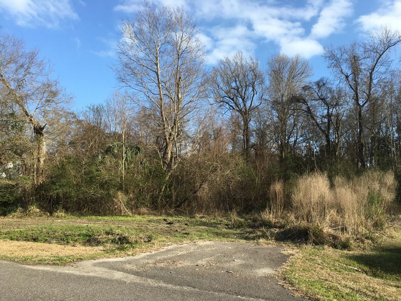 0 Old Tavern Ct, Mount Pleasant, SC 29466