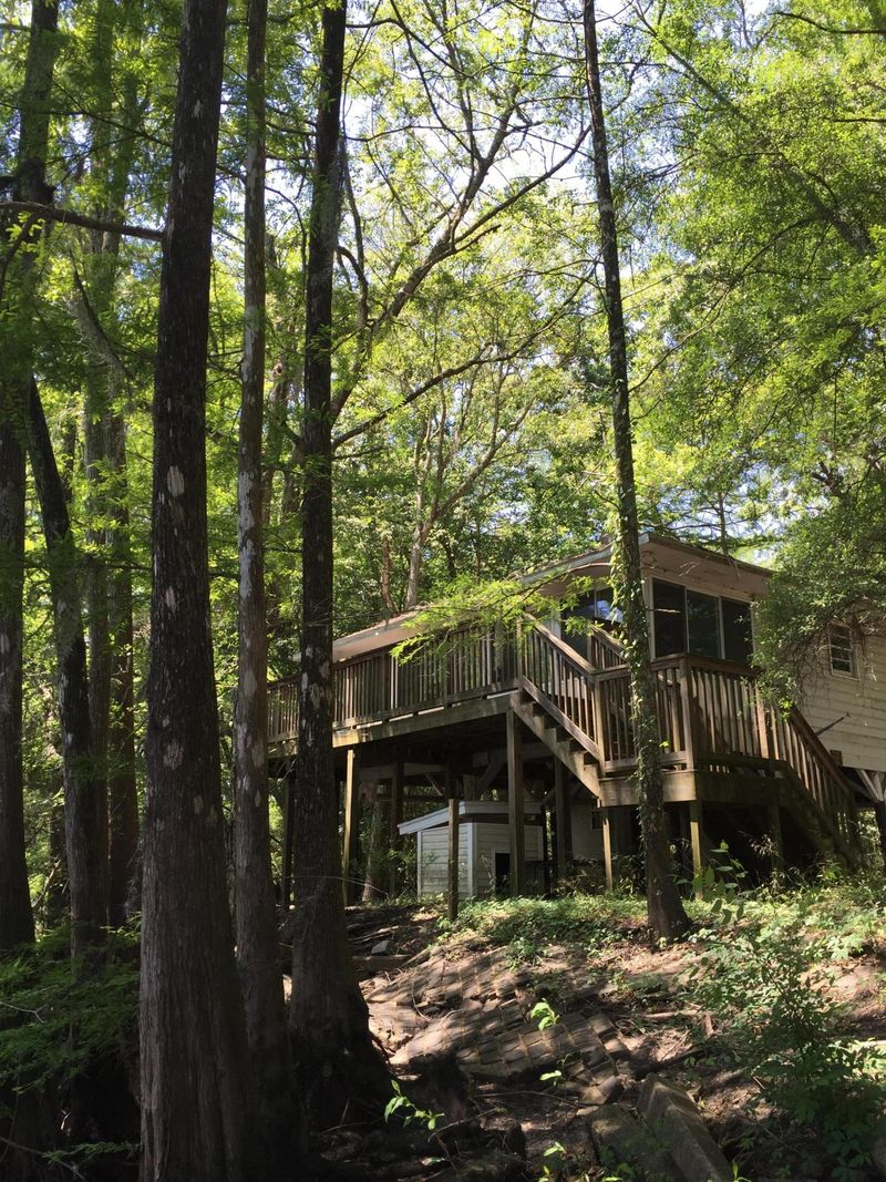 70 Hollow Log Ct, Ridgeville, SC 29472