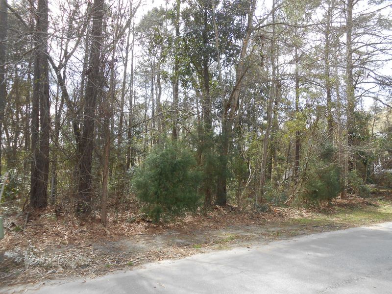 0 Oak Cv, Hollywood, SC 29449