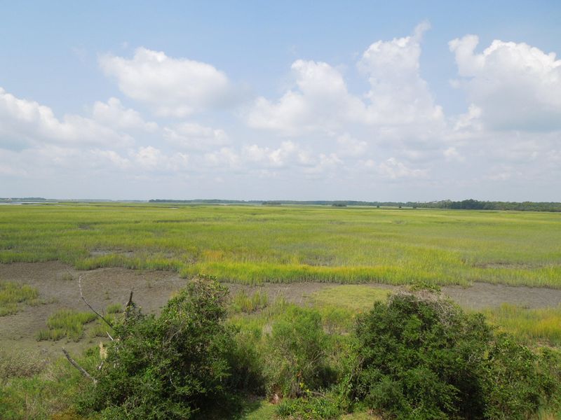 1618 E Ashley Ave, Folly Beach, SC 29439