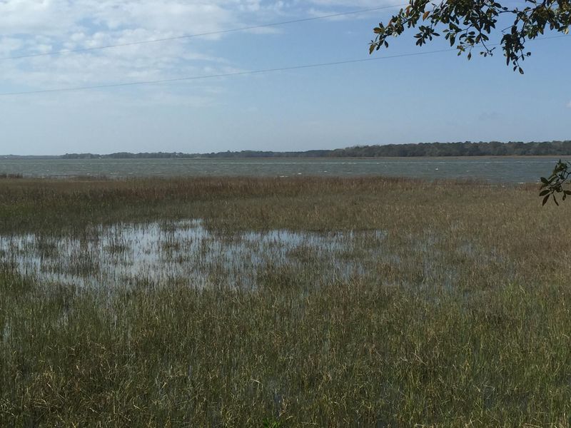 0 Bent Grass Ct, Charleston, SC 29412