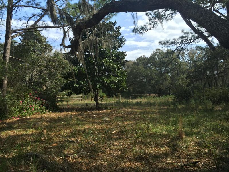 0 Bent Grass Ct, Charleston, SC 29412