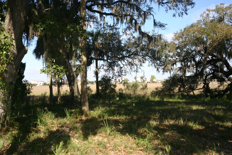 1401 Jungle Rd, Edisto Beach, SC 29438