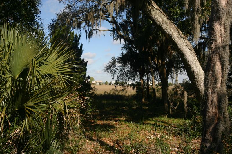 1401 Jungle Rd, Edisto Beach, SC 29438