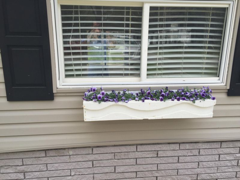 353 Lantana Dr, Charleston, SC 29407