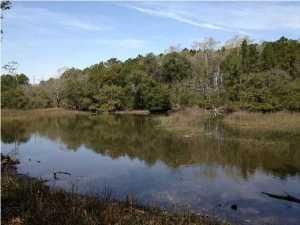 1494 Hidden Bridge Dr, Mount Pleasant, SC 29464