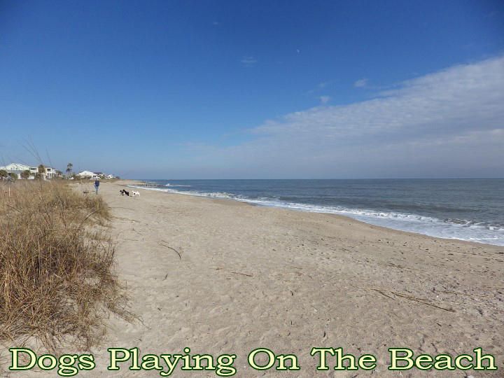 1909 Baynard St, Edisto Island, SC 29438
