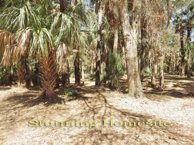1909 Baynard St, Edisto Island, SC 29438