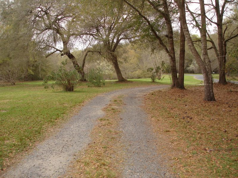 6315 Shilelagh Oaks Pkwy, Ravenel, SC 29470