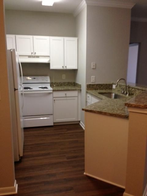 60 Fenwick Hall #411, Johns Island, SC 29455