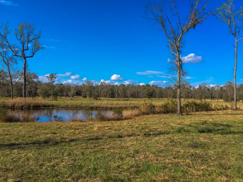 14 Selkirk Plantation Rd, Wadmalaw Island, SC 29487