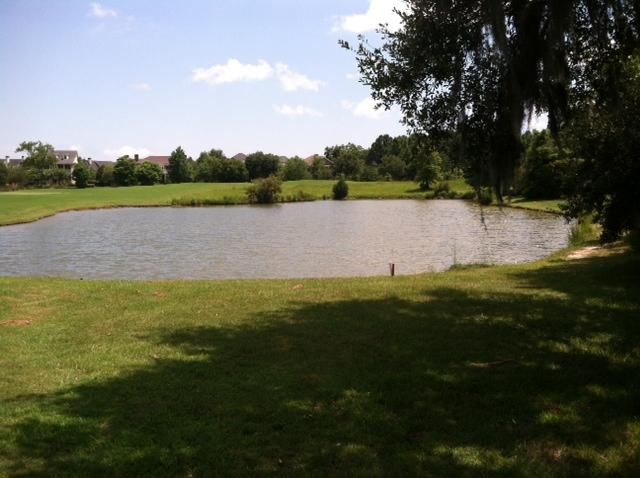 25 Hazelhurst St, Daniel Island, SC 29492
