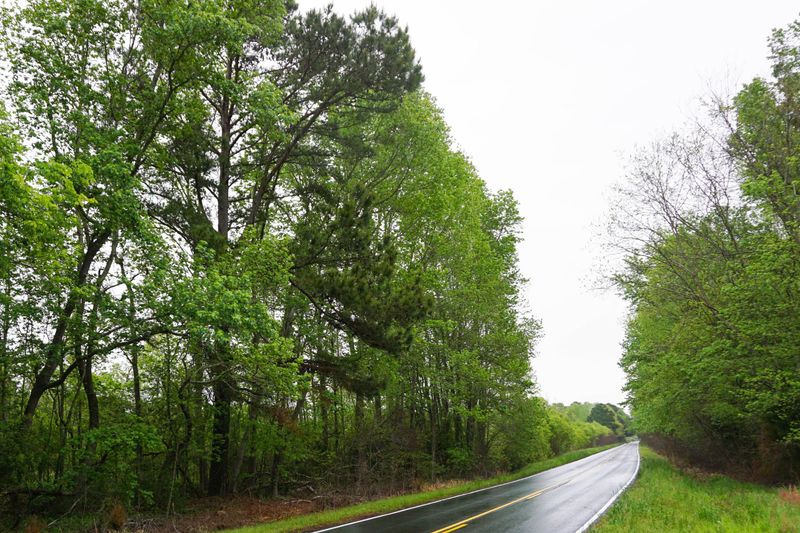 5950 Church Flats Rd, Meggett, SC 29449