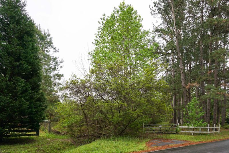 5950 Church Flats Rd, Meggett, SC 29449
