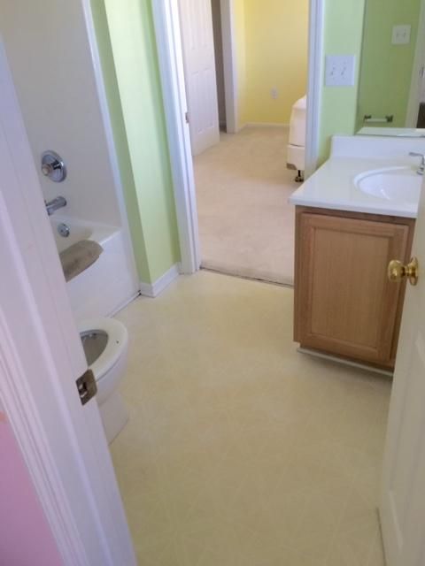 1036 Albatross Ln, Mount Pleasant, SC 29466