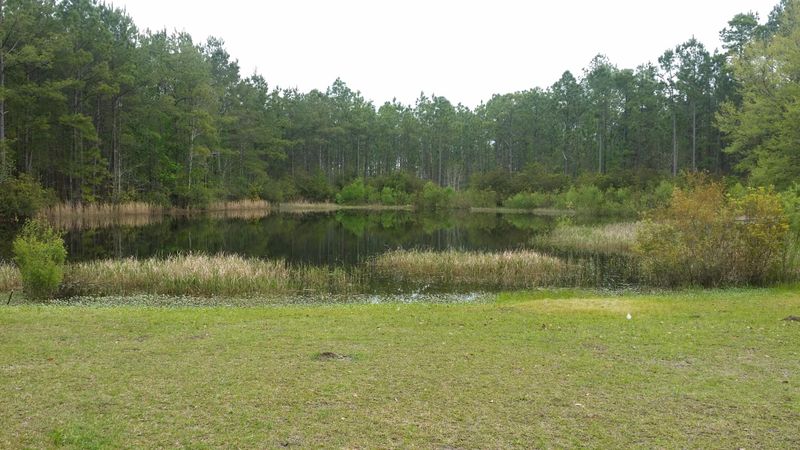 220 Freshcut Ln, Huger, SC 29450