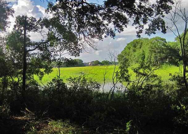 1154 Fort Lamar, Charleston, SC 29412