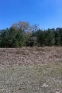 3 Sumpter Hill Dr, Saint Stephen, SC 29479