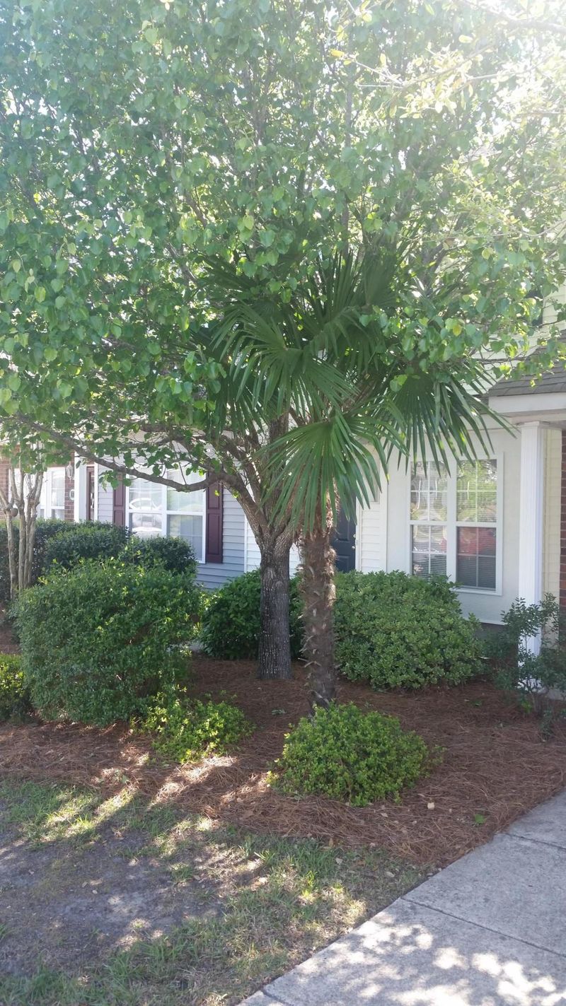 1303 Elm Hall Cir, Summerville, SC 29483
