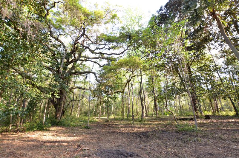 588 Dupre Rd, Mcclellanville, SC 29458