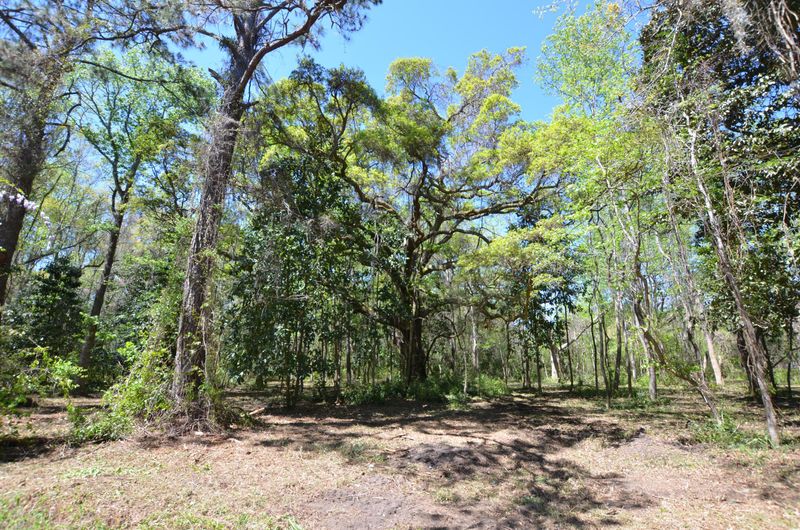 588 Dupre Rd, Mcclellanville, SC 29458