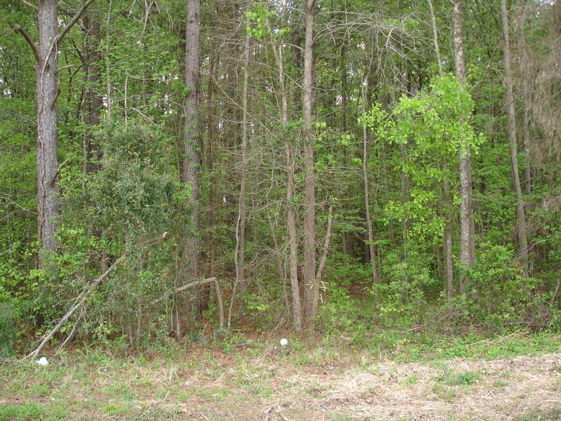 2 Gaillard Rd, Moncks Corner, SC 29461