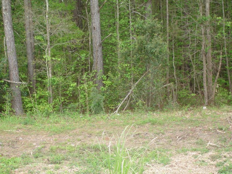 1 Gaillard Rd, Moncks Corner, SC 29461