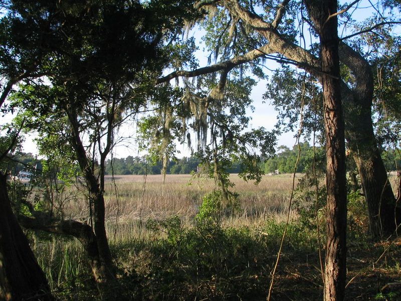3 Broadmarsh Ct, Mcclellanville, SC 29458