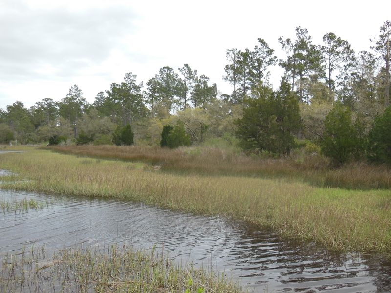 2 Broadmarsh, Mcclellanville, SC 29458