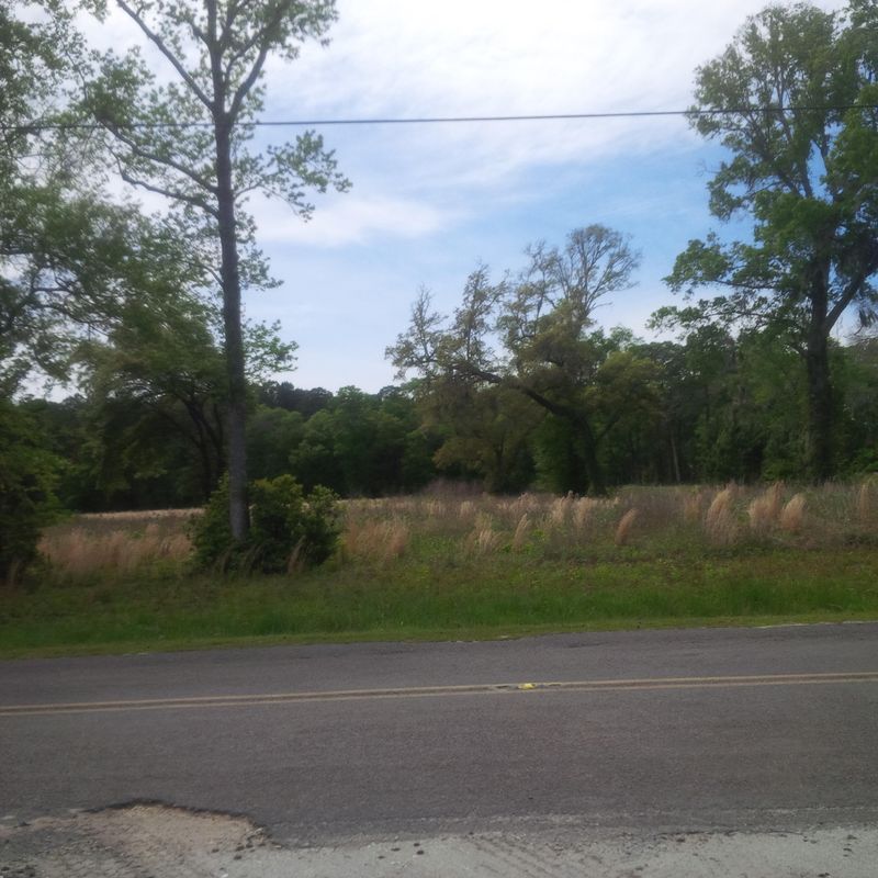 0 Auldreeke Rd, Johns Island, SC 29455