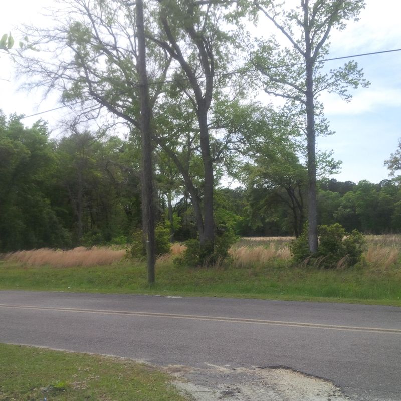 0 Auldreeke Rd, Johns Island, SC 29455