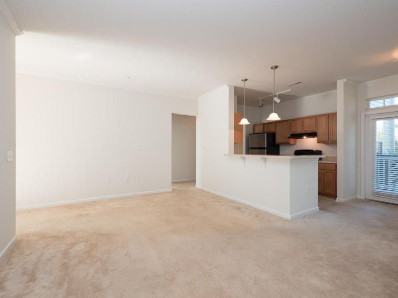 1225 Blakeway St #1502, Daniel Island, SC 29492