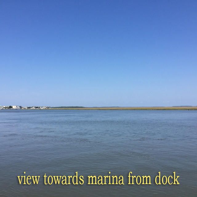 3765 Dock Site Rd, Edisto Island, SC 29438
