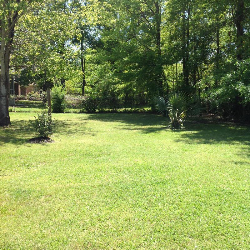 757 Wexford Rd, Charleston, SC 29414