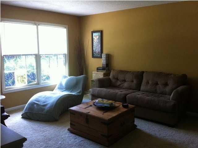 1728 Pinckney Park Dr, Charleston, SC 29407
