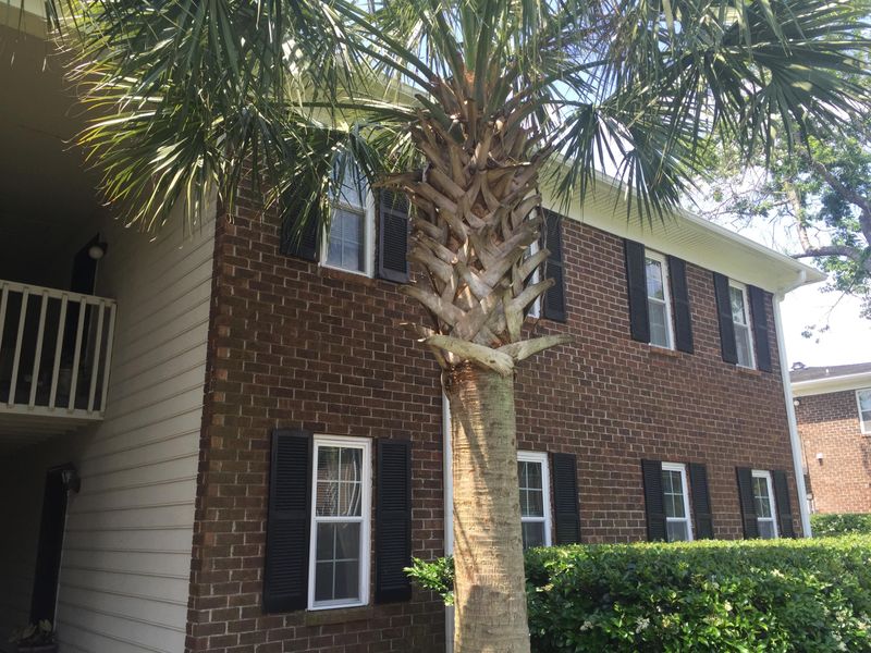 21 Rivers Point Row #15d, Charleston, SC 29412