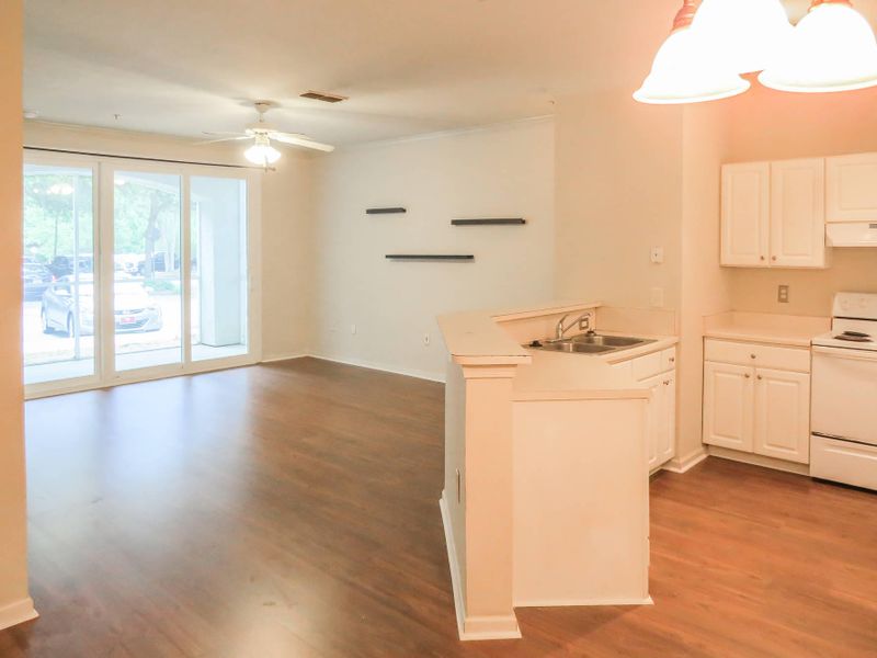 60 Fenwick Hall Allee #316, Johns Island, SC 29455